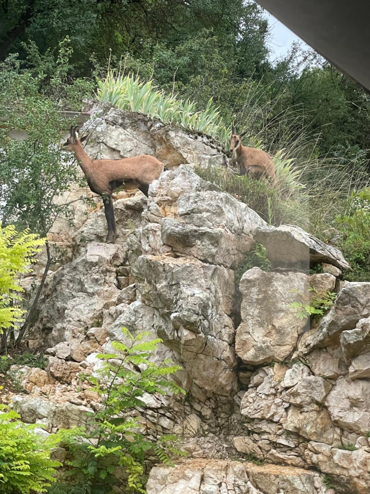 Maison Au Bord De L'Eau Les Roches Rochefort-sur-Nenon Екстериор снимка