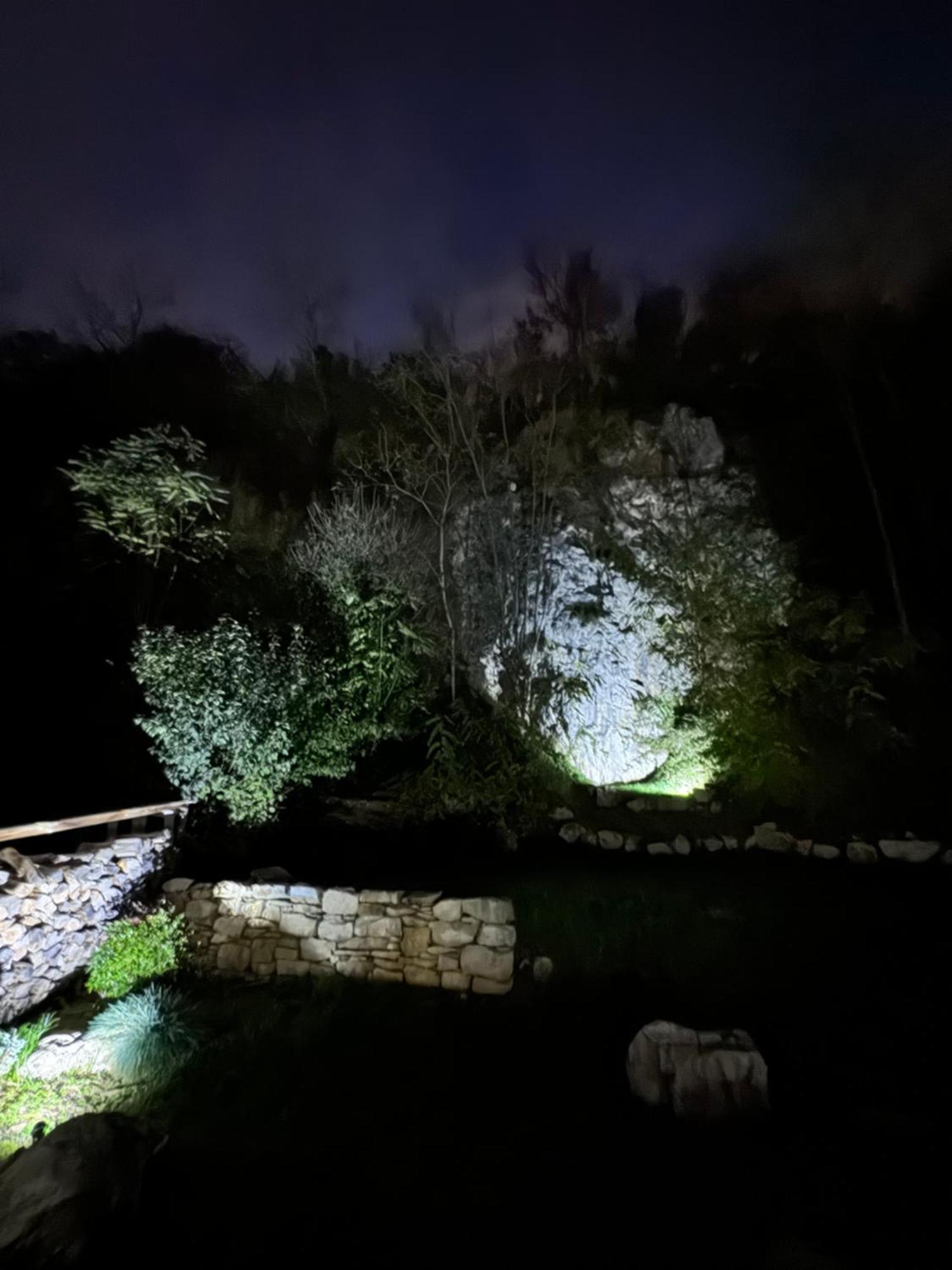 Maison Au Bord De L'Eau Les Roches Rochefort-sur-Nenon Екстериор снимка