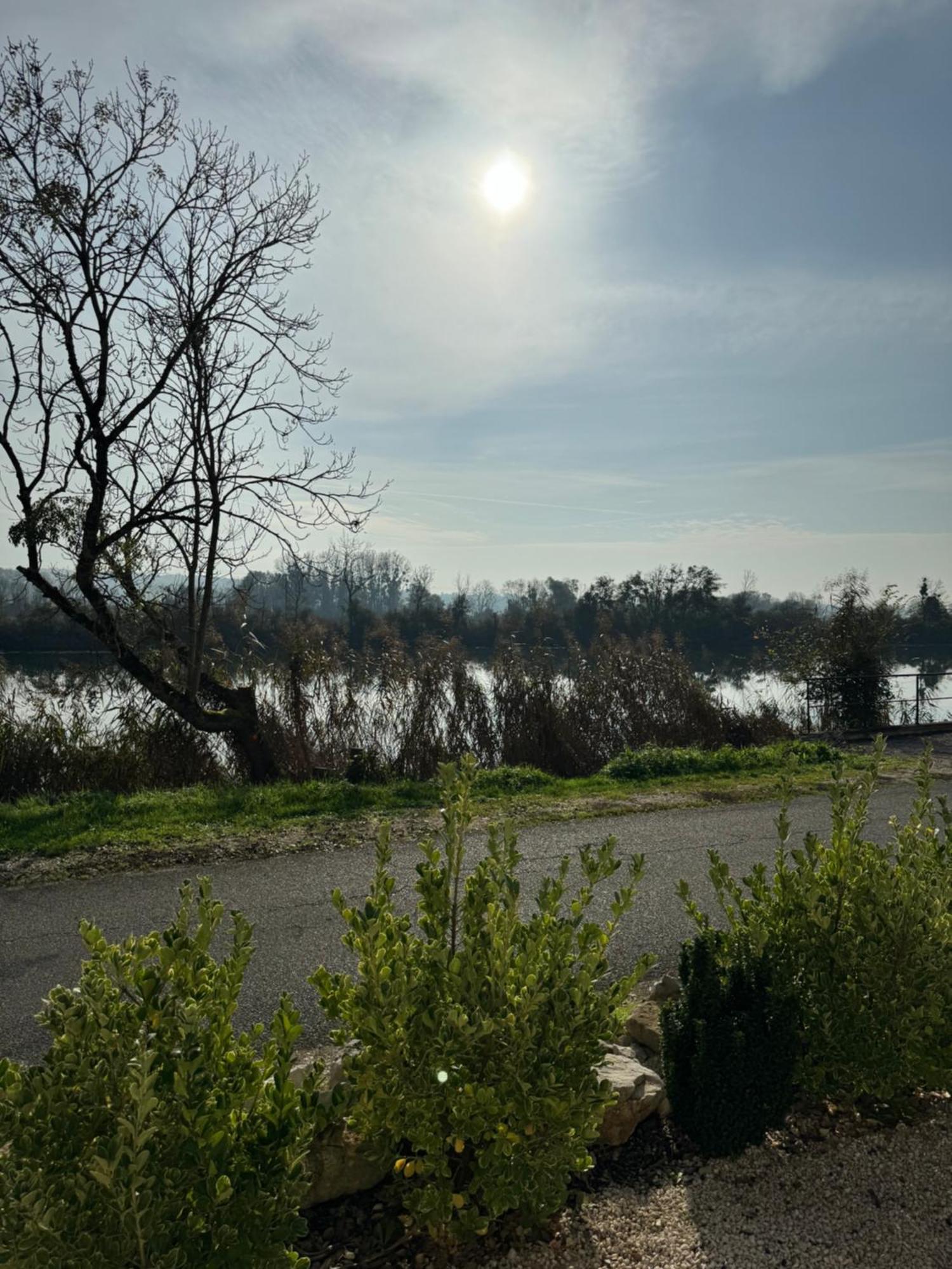 Maison Au Bord De L'Eau Les Roches Rochefort-sur-Nenon Екстериор снимка